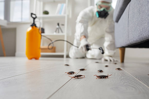 Post-Treatment Bed Bug Interceptor Monitoring in Pleasantdale