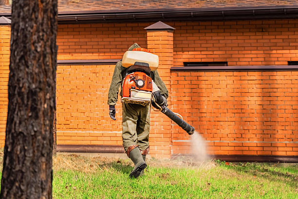 Bed Bug Clearance Verification and Documentation in Pleasantdale